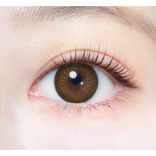 EverColor1day – Natural Champagne Brown 日拋 每盒20片